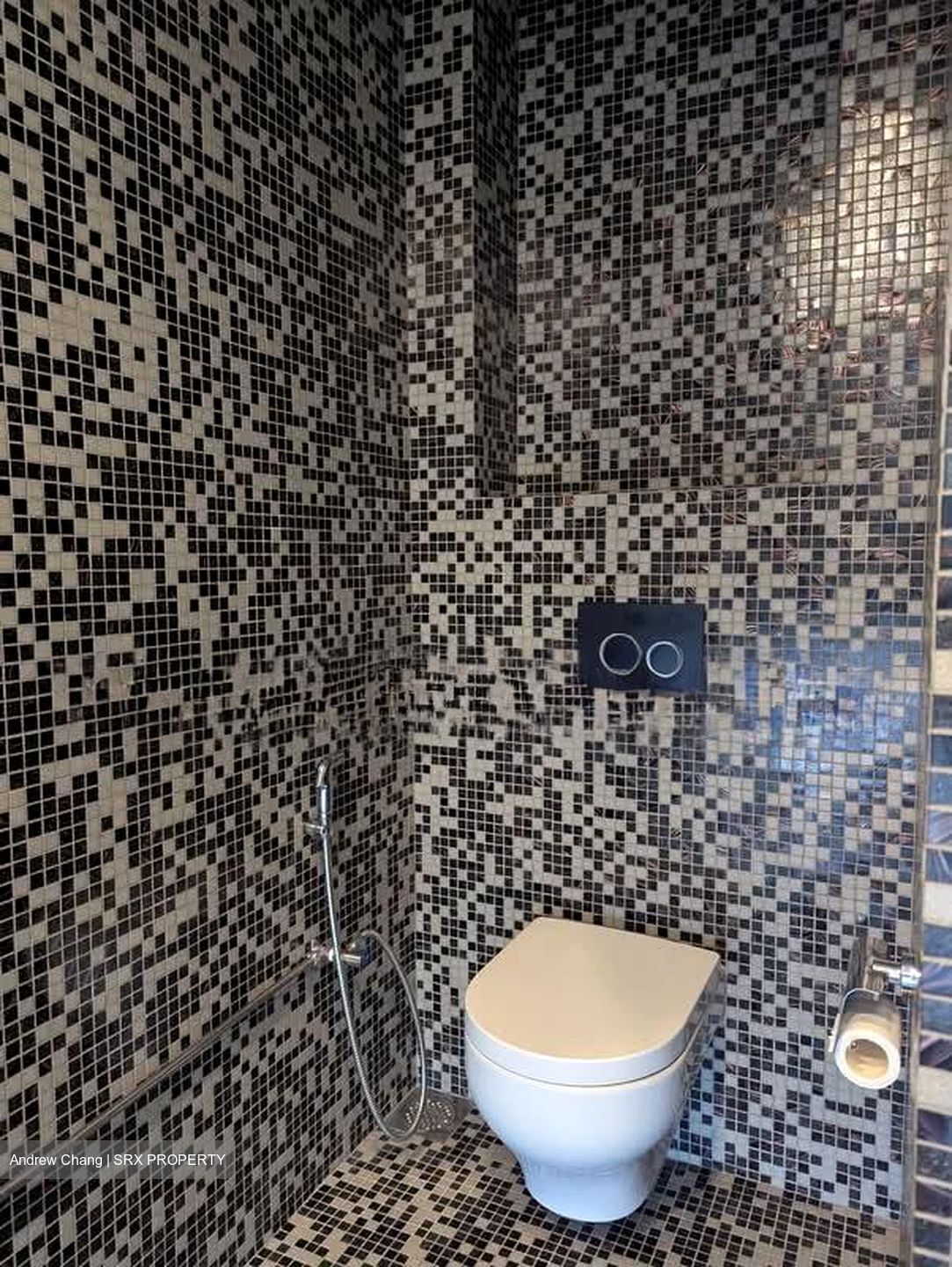 Fulcrum (D15), Condominium #565781151